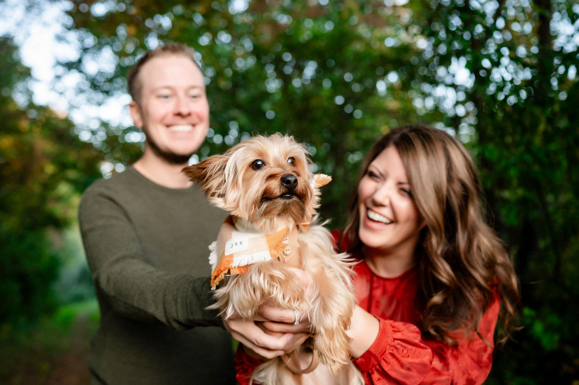 dog family photo with cute little puppy outdoors in beaver pennsylvania • Family