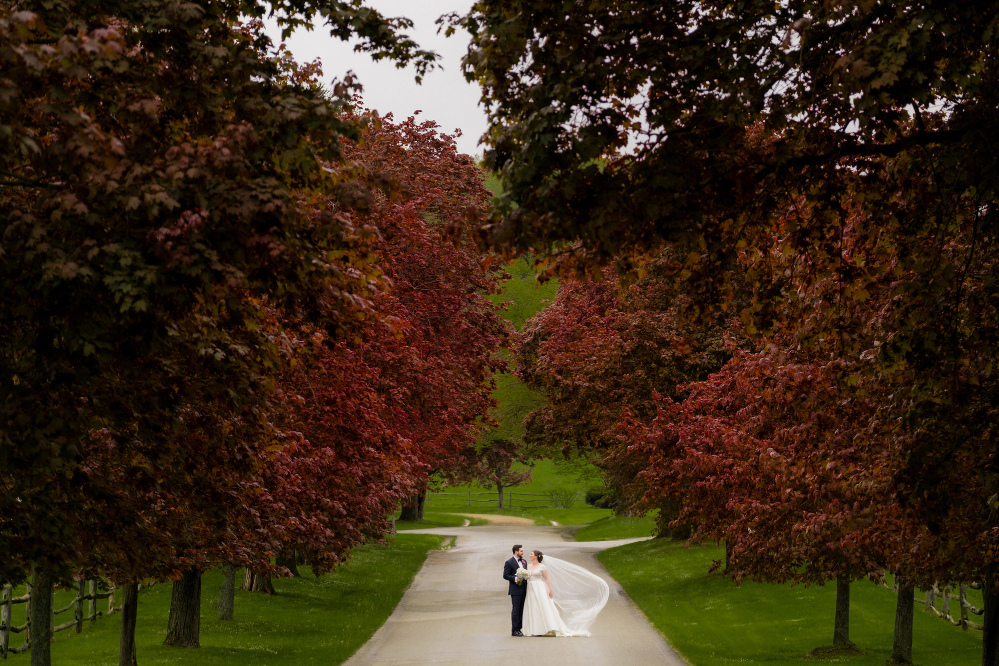 bride and groom in the laurel highlands at a private club • Portfolio