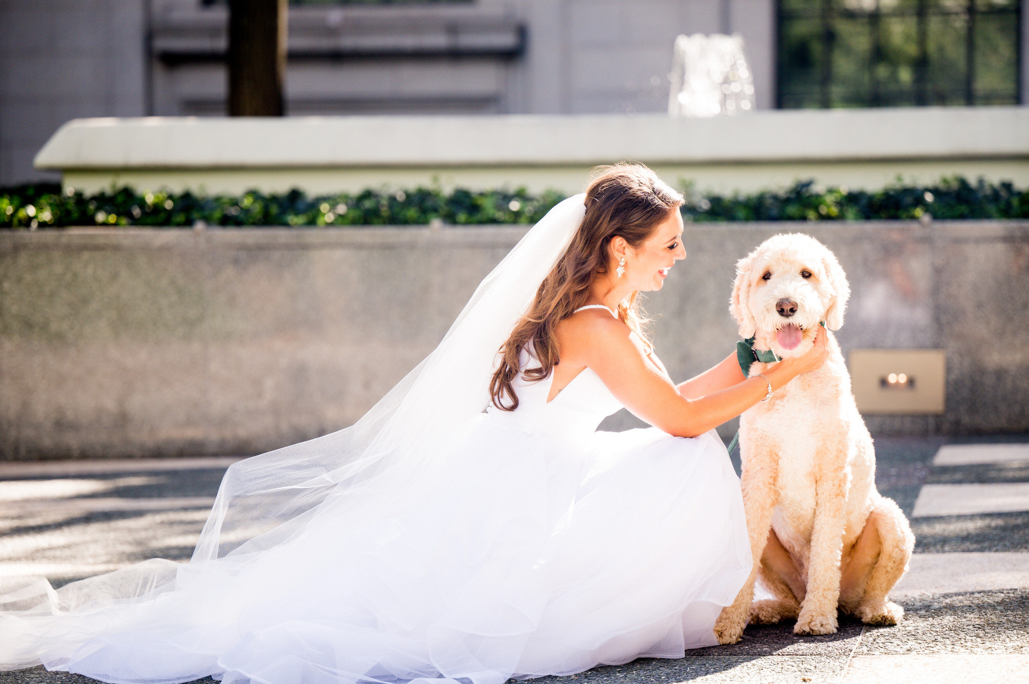 bride with her dog in front of the omni william penn hotel in pittsburgh • Portfolio