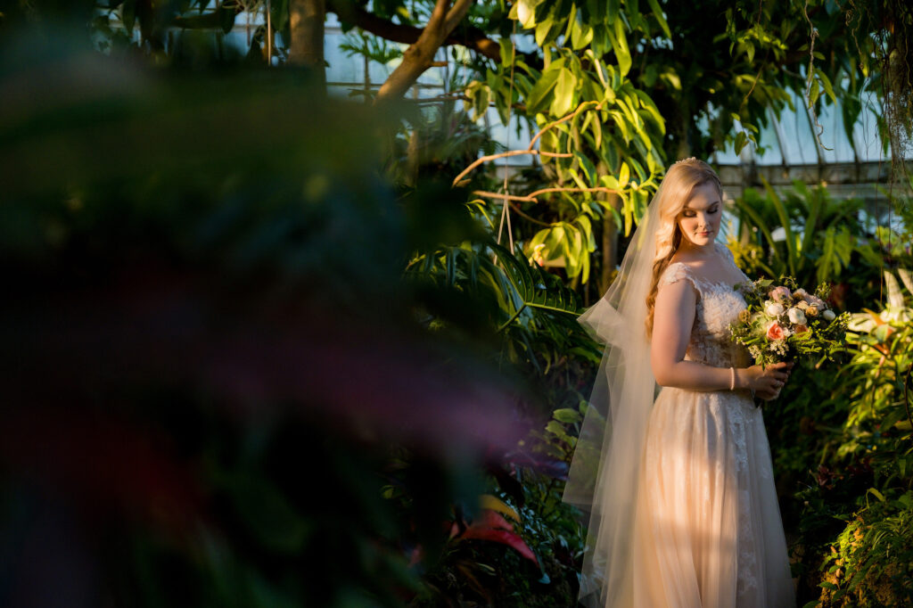 indoor wedding photo in orchid room at phipps conservatory • Phipps Conservatory Weddings