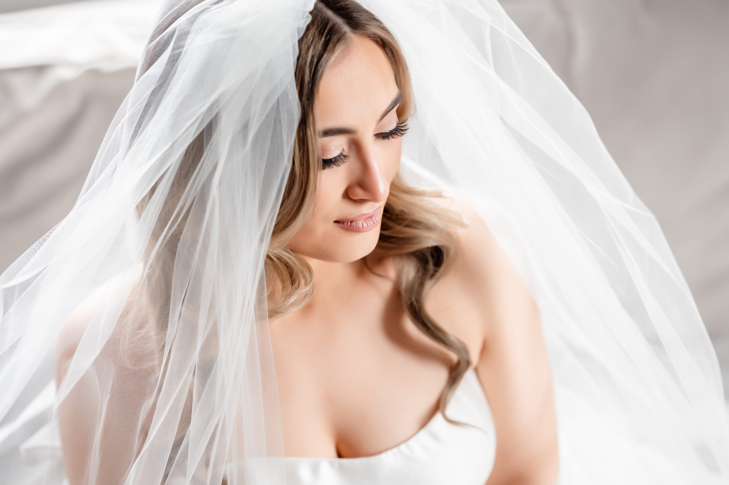bride in pronovias wedding gown • Portfolio